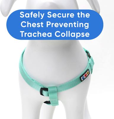Show full view: Pawtitas Solid Personalized Dog Harness, Teal, Small: 14 to 21-in chest slide 9 of 10