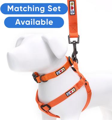 Show full view: Pawtitas Solid Personalized Dog Leash, Orange, Large: 6-ft long, 1-in wide slide 10 of 11