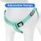 Show in main carousel: Pawtitas Solid Personalized Dog Harness, Teal, Small: 14 to 21-in chest slide 7 of 10