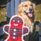 Show in main carousel: HuggleHounds Christmas Plaid McButtons Tough Plush Dog Toy, Large slide 8 of 9