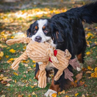 Show full view: HuggleHounds Christmas Rudy Reindeer Knottie Tough Plush Dog Toy, X-Large slide 9 of 10