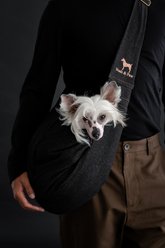 Noah & Paw Premium Denim 2X Safety Small Dog & Cat Sling Carrier, Medium, Black slide 2 of 9