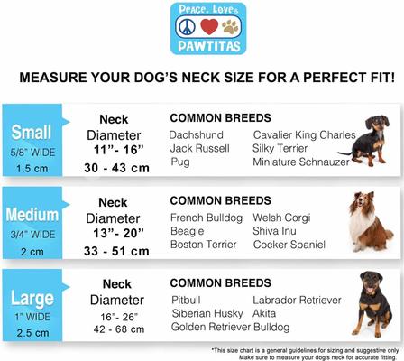 Show full view: Pawtitas Personalized Reflective Martingale Dog Collar, Teal, Medium: 13 to 20-in neck, 3/4-in wide slide 3 of 10