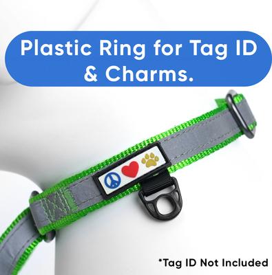 Show full view: Pawtitas Personalized Reflective Martingale Dog Collar, Green, Medium: 13 to 20-in neck, 3/4-in wide slide 8 of 10