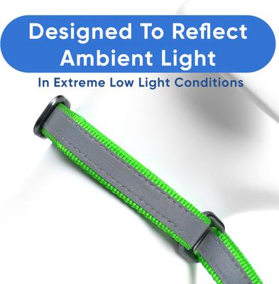 Show full view: Pawtitas Personalized Reflective Martingale Dog Collar, Green, Medium: 13 to 20-in neck, 3/4-in wide slide 5 of 10