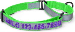 Pawtitas Personalized Reflective Martingale Dog Collar, Green, Medium: 13 to 20-in neck, 3/4-in wide