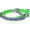 Show in main carousel: Pawtitas Personalized Reflective Martingale Dog Collar, Green, Medium: 13 to 20-in neck, 3/4-in wide slide 1 of 10
