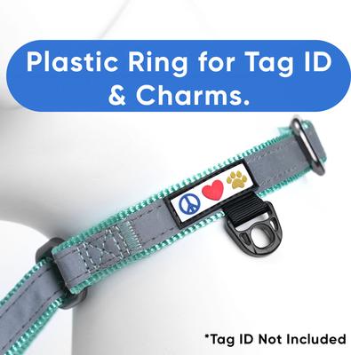 Show full view: Pawtitas Personalized Reflective Martingale Dog Collar, Teal, Medium: 13 to 20-in neck, 3/4-in wide slide 8 of 10