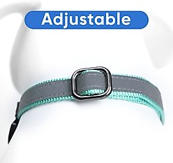 Pawtitas Personalized Reflective Martingale Dog Collar, Teal, Medium: 13 to 20-in neck, 3/4-in wide slide 2 of 9