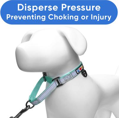 Show full view: Pawtitas Personalized Reflective Martingale Dog Collar, Teal, Medium: 13 to 20-in neck, 3/4-in wide slide 6 of 10