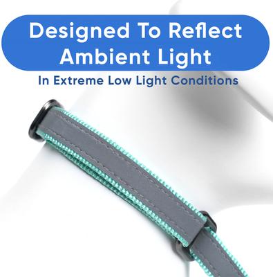 Show full view: Pawtitas Personalized Reflective Martingale Dog Collar, Teal, Medium: 13 to 20-in neck, 3/4-in wide slide 5 of 10