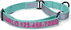 Pawtitas Personalized Reflective Martingale Dog Collar, Teal, Medium: 13 to 20-in neck, 3/4-in wide