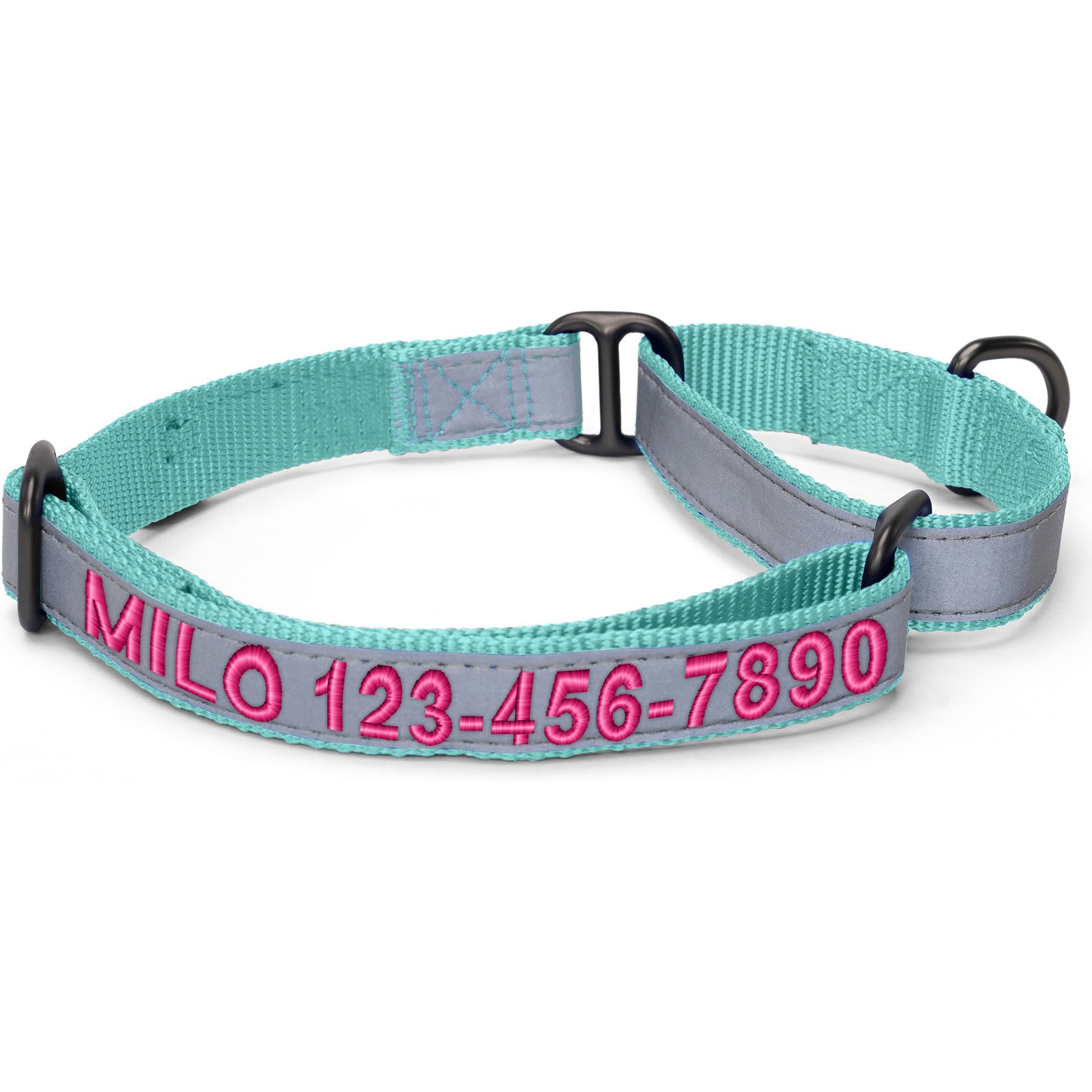 Pawtitas Personalized Reflective Martingale Dog Collar, Teal, Small: 11 to 16-in neck, 5/8-in wide