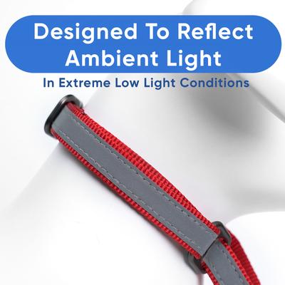 Show full view: Pawtitas Personalized Reflective Martingale Dog Collar, Red, Medium: 13 to 20-in neck, 3/4-in wide slide 5 of 10