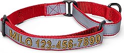 Pawtitas Personalized Reflective Martingale Dog Collar, Red, Small: 11 to 16-in neck, 5/8-in wide