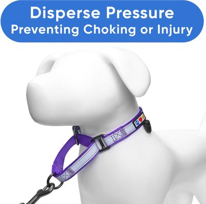 Show full view: Pawtitas Personalized Reflective Martingale Dog Collar, Purple, Small: 11 to 16-in neck, 5/8-in wide slide 6 of 10