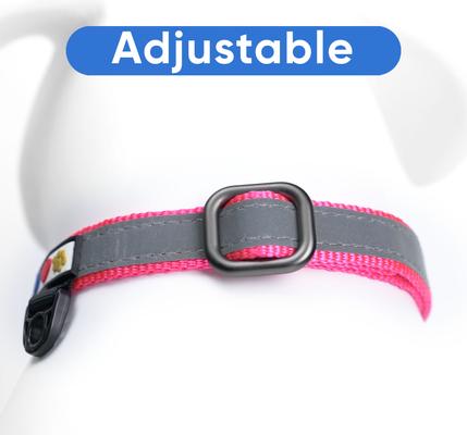 Show full view: Pawtitas Personalized Reflective Martingale Dog Collar, Pink, Medium: 13 to 20-in neck, 3/4-in wide slide 7 of 10