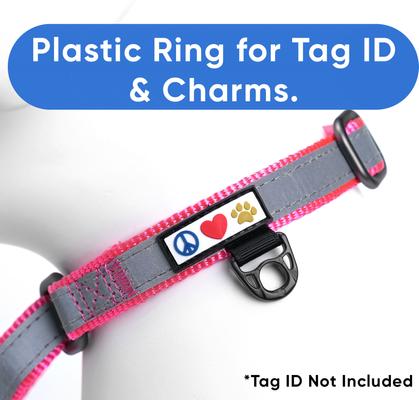 Show full view: Pawtitas Personalized Reflective Martingale Dog Collar, Pink, Medium: 13 to 20-in neck, 3/4-in wide slide 8 of 10