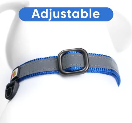 Show full view: Pawtitas Personalized Reflective Martingale Dog Collar, Blue, Medium: 13 to 20-in neck, 3/4-in wide slide 7 of 10