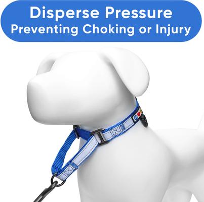 Show full view: Pawtitas Personalized Reflective Martingale Dog Collar, Blue, Medium: 13 to 20-in neck, 3/4-in wide slide 6 of 10