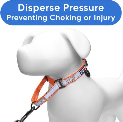 Show full view: Pawtitas Personalized Reflective Martingale Dog Collar, Orange, Large: 16 to 26-in neck, 1-in wide slide 6 of 10