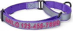 Pawtitas Personalized Reflective Martingale Dog Collar, Purple, Medium: 13 to 20-in neck, 3/4-in wide