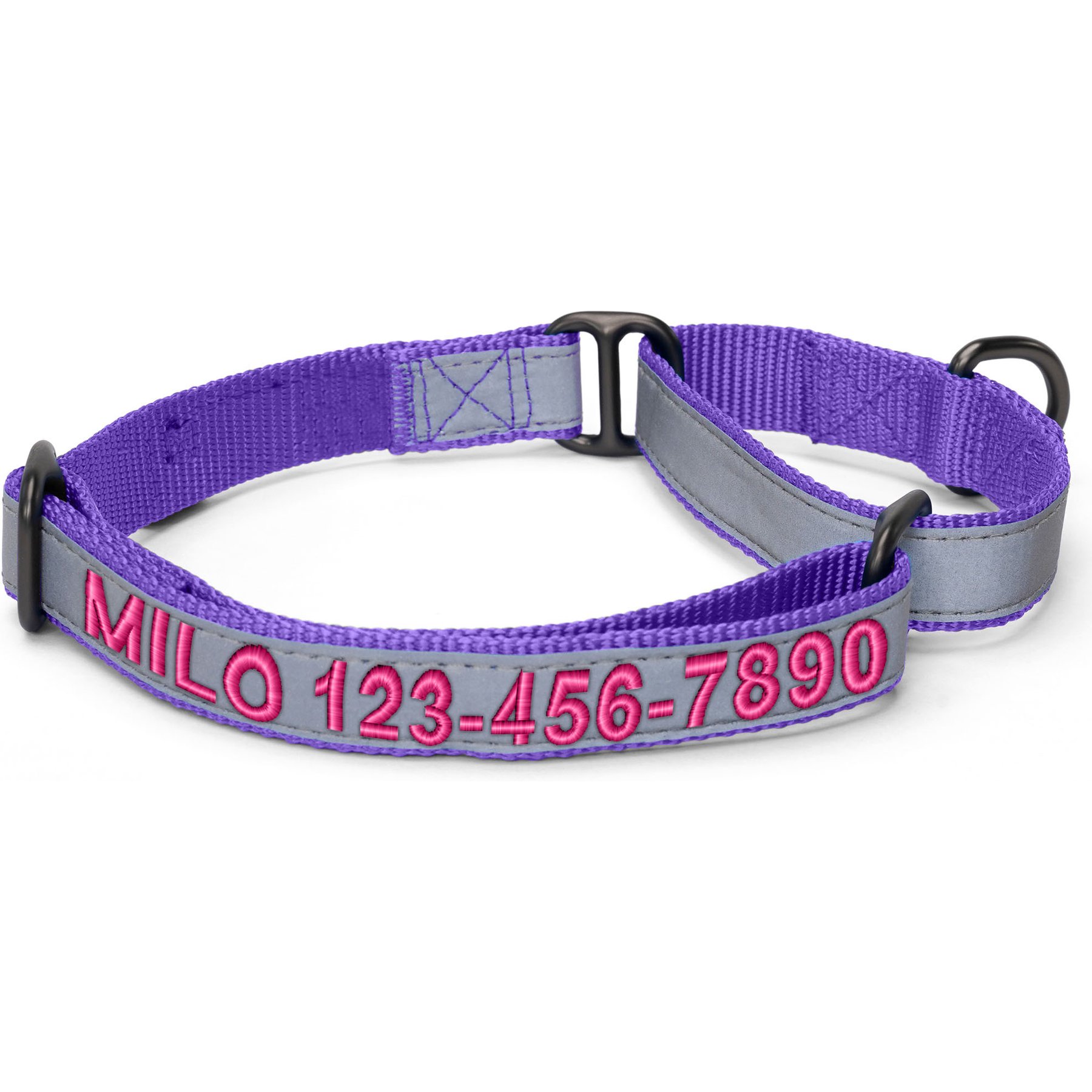 Pawtitas Personalized Reflective Martingale Dog Collar, Purple, Small: 11 to 16-in neck, 5/8-in wide