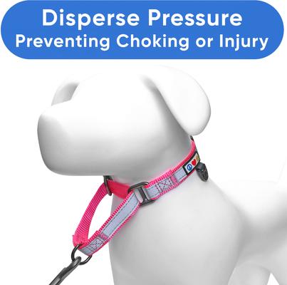 Show full view: Pawtitas Personalized Reflective Martingale Dog Collar, Pink, Medium: 13 to 20-in neck, 3/4-in wide slide 6 of 10