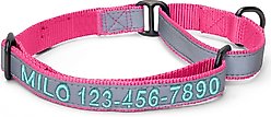 Pawtitas Personalized Reflective Martingale Dog Collar, Pink, Medium: 13 to 20-in neck, 3/4-in wide