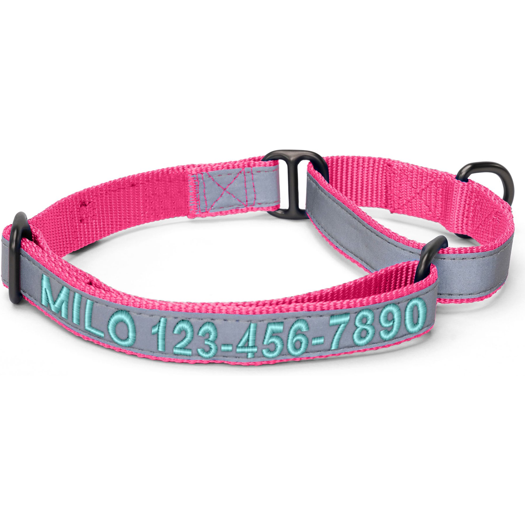 Pawtitas Personalized Reflective Martingale Dog Collar, Pink, Small: 11 to 16-in neck, 5/8-in wide