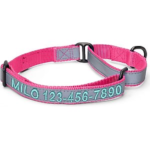 Pawtitas Personalized Reflective Martingale Dog Collar, Pink, Medium: 13 to 20-in neck, 3/4-in wide