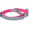 Show in main carousel: Pawtitas Personalized Reflective Martingale Dog Collar, Pink, Medium: 13 to 20-in neck, 3/4-in wide slide 1 of 10