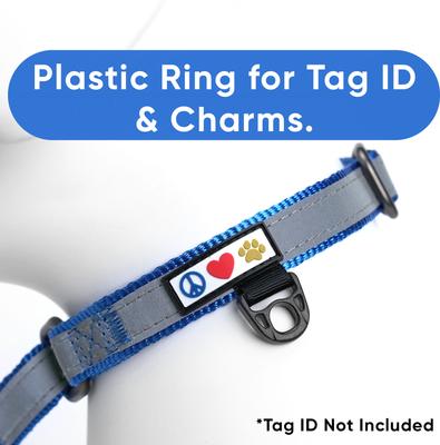 Show full view: Pawtitas Personalized Reflective Martingale Dog Collar, Blue, Medium: 13 to 20-in neck, 3/4-in wide slide 8 of 10