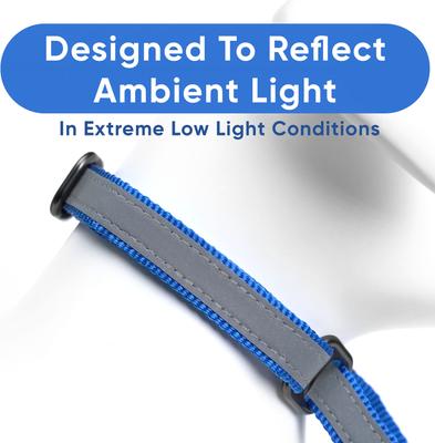 Show full view: Pawtitas Personalized Reflective Martingale Dog Collar, Blue, Medium: 13 to 20-in neck, 3/4-in wide slide 5 of 10