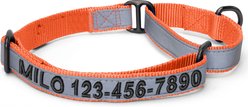 Pawtitas Personalized Reflective Martingale Dog Collar, Orange, Large: 16 to 26-in neck, 1-in wide