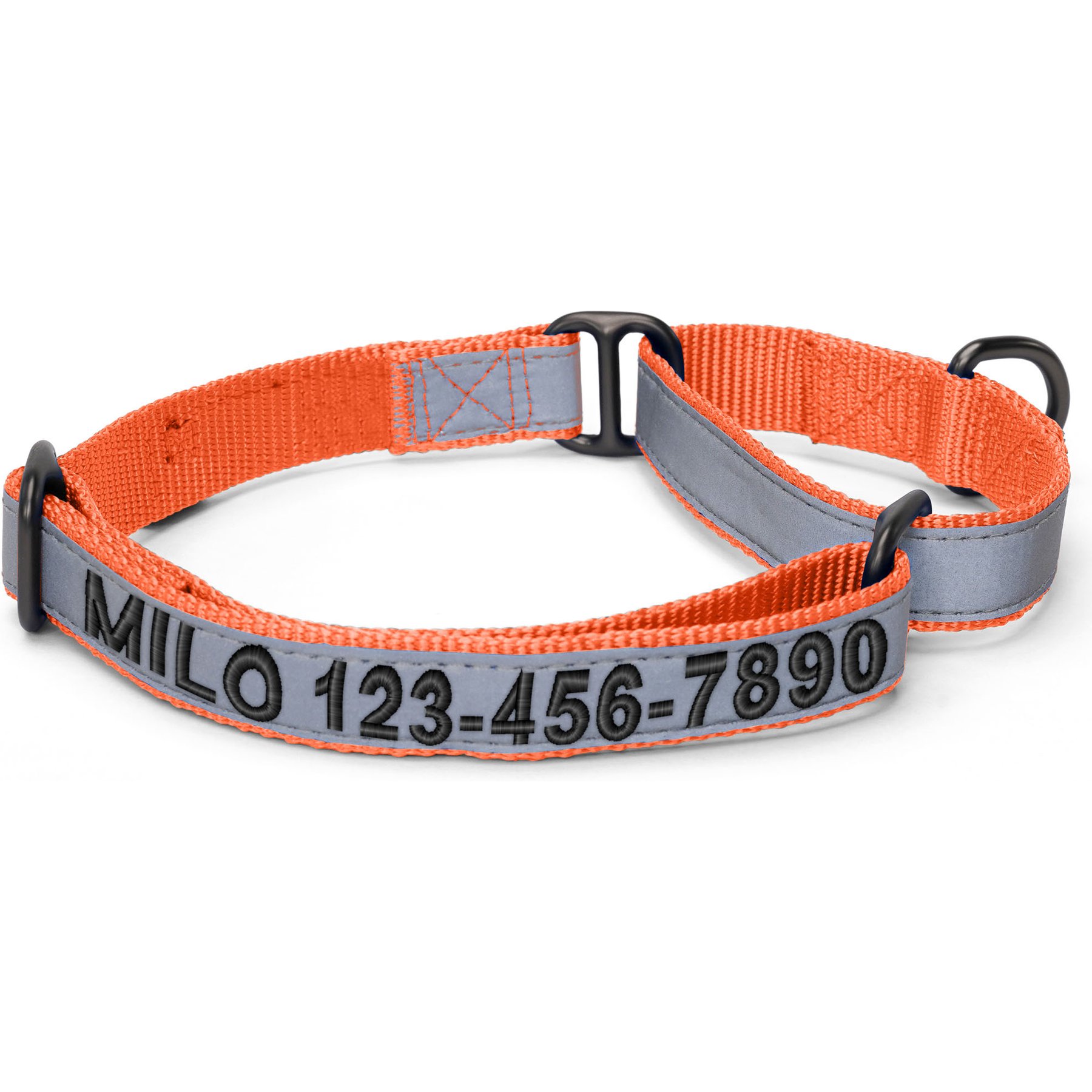 Pawtitas Personalized Reflective Martingale Dog Collar, Orange, Small: 11 to 16-in neck, 5/8-in wide