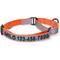 Show in main carousel: Pawtitas Personalized Reflective Martingale Dog Collar, Orange, Large: 16 to 26-in neck, 1-in wide slide 1 of 10
