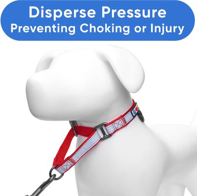 Show full view: Pawtitas Personalized Reflective Martingale Dog Collar, Red, Medium: 13 to 20-in neck, 3/4-in wide slide 6 of 10