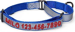 Pawtitas Personalized Reflective Martingale Dog Collar, Blue, Medium: 13 to 20-in neck, 3/4-in wide