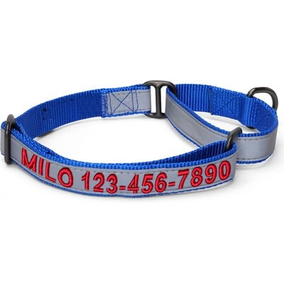 Pawtitas Pawtitas Personalized Reflective Martingale Dog Collar, Blue, Small: 11 to 16-in neck, 5/8-in wide