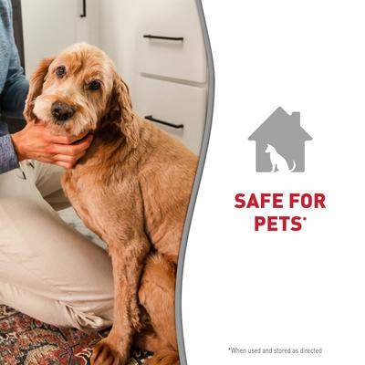 Show full view: Nature's Miracle Odor Control Dog Shampoo, Lavender Scent, 16-oz bottle slide 9 of 10