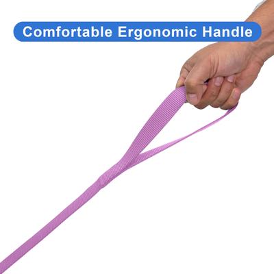 Show full view: Pawtitas Solid Personalized Dog Leash, Purple Orchid, XX-Small: 6-ft long, 3/8-in wide slide 7 of 10