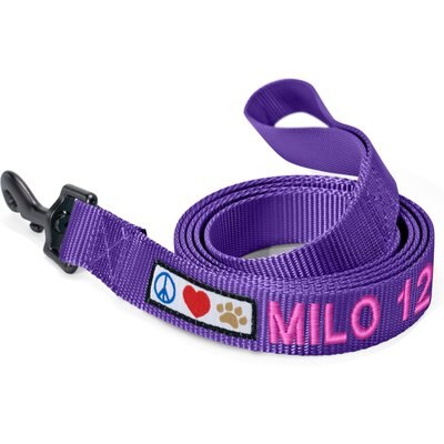 Pawtitas Pawtitas Solid Personalized Dog Leash, Purple, Large: 6-ft long, 1-in wide