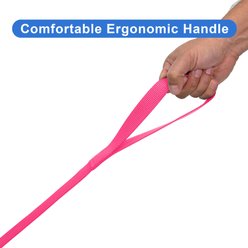 Pawtitas Solid Personalized Dog Leash, Pink, Large: 6-ft long, 1-in wide slide 2 of 9