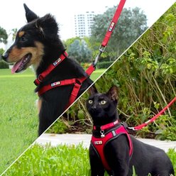 Pawtitas Solid Personalized Dog Leash, Red, Large: 6-ft long, 1-in wide slide 2 of 9