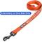 Show in main carousel: Pawtitas Solid Personalized Dog Leash, Orange, Large: 6-ft long, 1-in wide slide 7 of 11