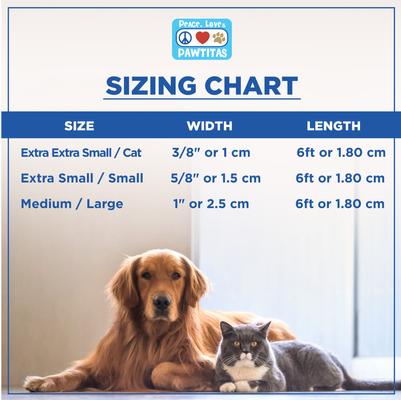 Show full view: Pawtitas Solid Personalized Dog Leash, Orange, Large: 6-ft long, 1-in wide slide 4 of 11