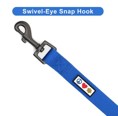 Show full view: Pawtitas Solid Personalized Dog Leash, Blue, XX-Small: 6-ft long, 3/8-in wide slide 8 of 10