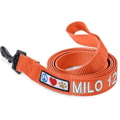 Pawtitas Pawtitas Solid Personalized Dog Leash, Orange, Small: 6-ft long, 5/8-in wide