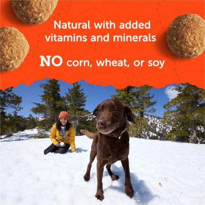 Show full view: Zuke's Adventure Bites Chicken & Pumpkin Recipe Soft & Chewy Dog Treats, 6-oz pouch slide 8 of 12